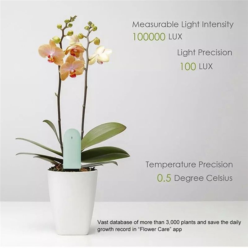 Smart Garden Test - A36T-Monitor de Cuidado de Plantas de