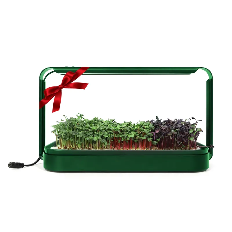 Smart Garden Ideas - Ideias de Presentes de Natal: Kit