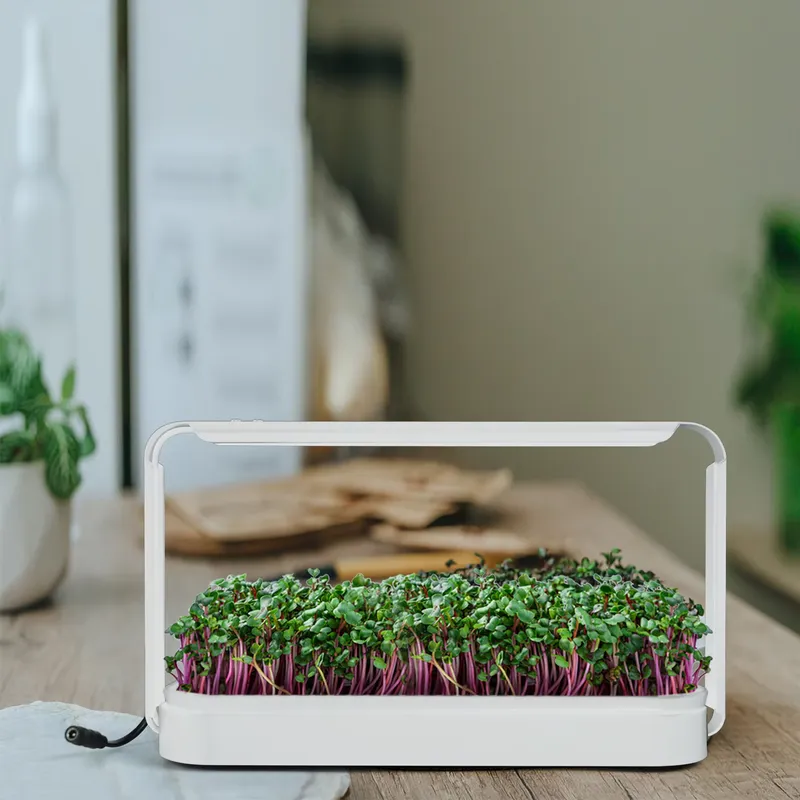 Smart Garden Ideas - Kit de Cultivo de Ervas Aromáticas