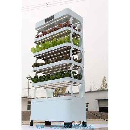 Smart Garden In Home - arming Home Sistemas de cultivo hidropônicoNova