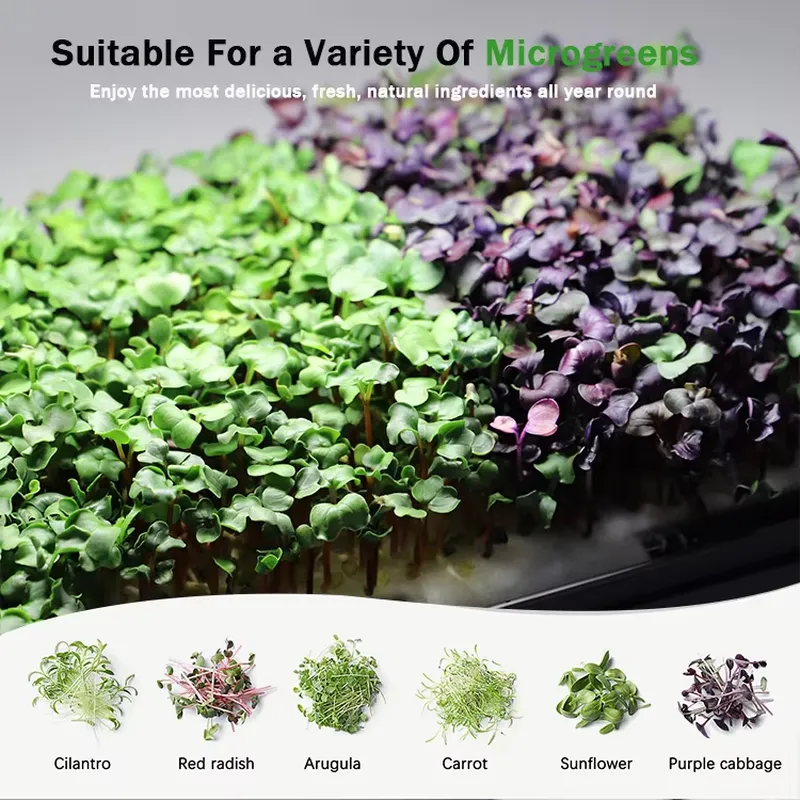 Ideias de Presentes de Natal:  - Smart Garden Ideas avaliação e preço