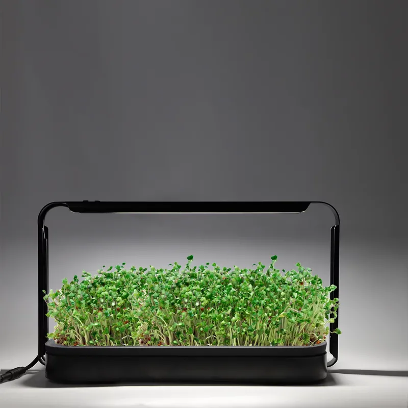 Kit de Cultivo de Ervas Aromát - Smart Garden Ideas avaliação e preço