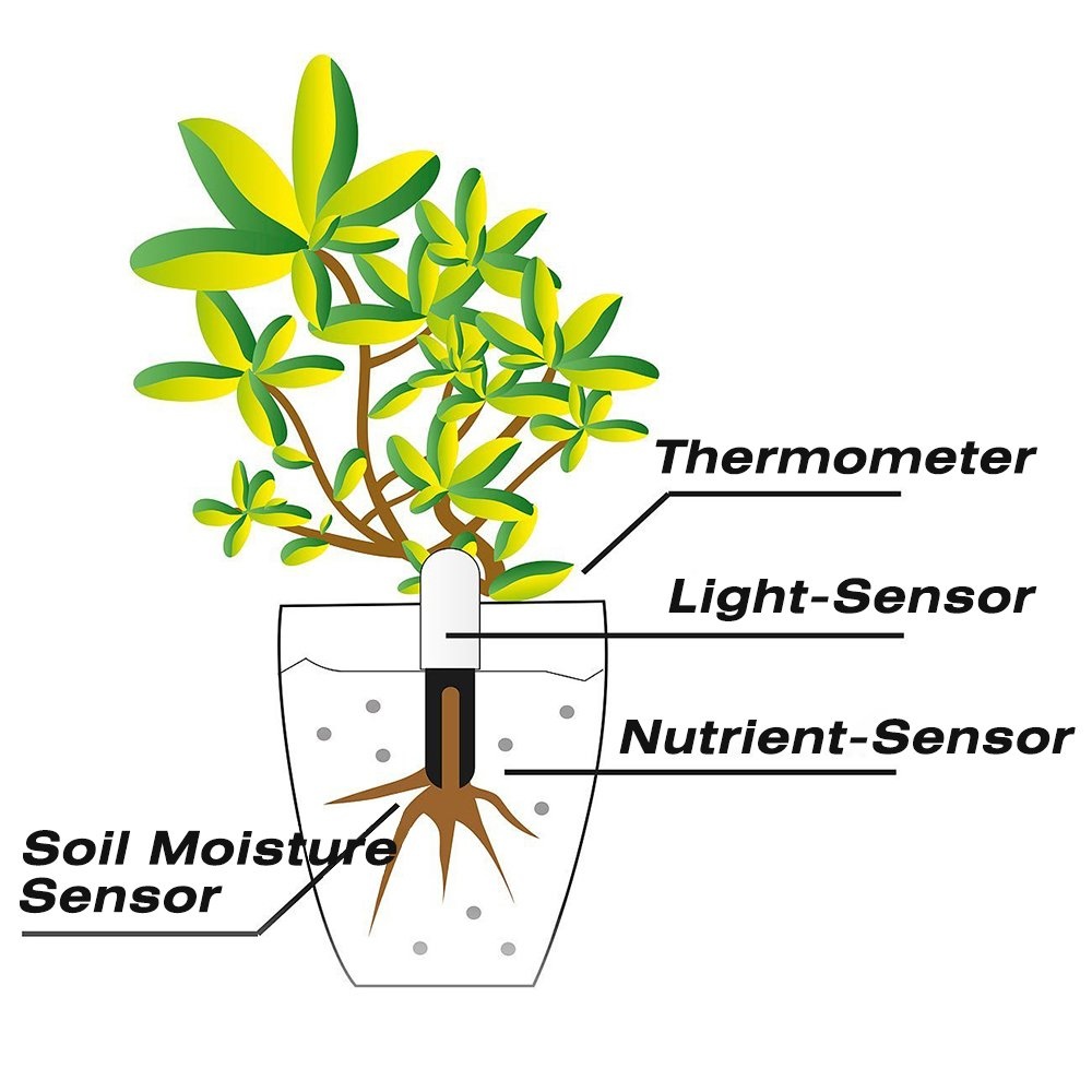 HHCC Flower Flora Care Plant T - Smart Garden Test avaliação e preço